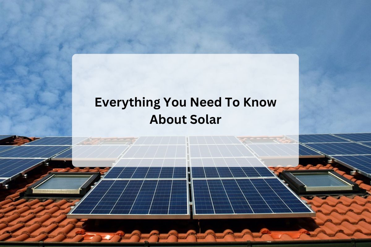Everything You Need To Know About Solar