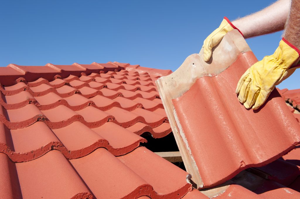 roof replace roof replace